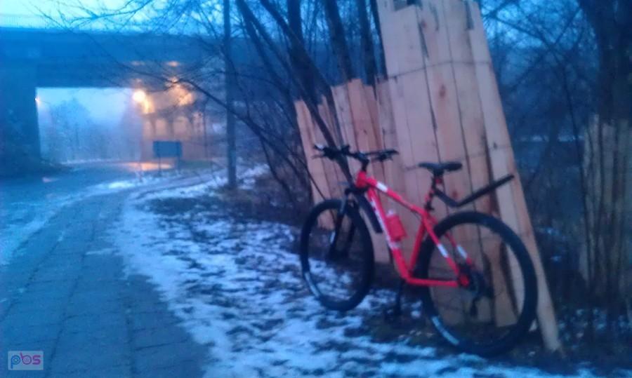 Bobry się nie ucieszą