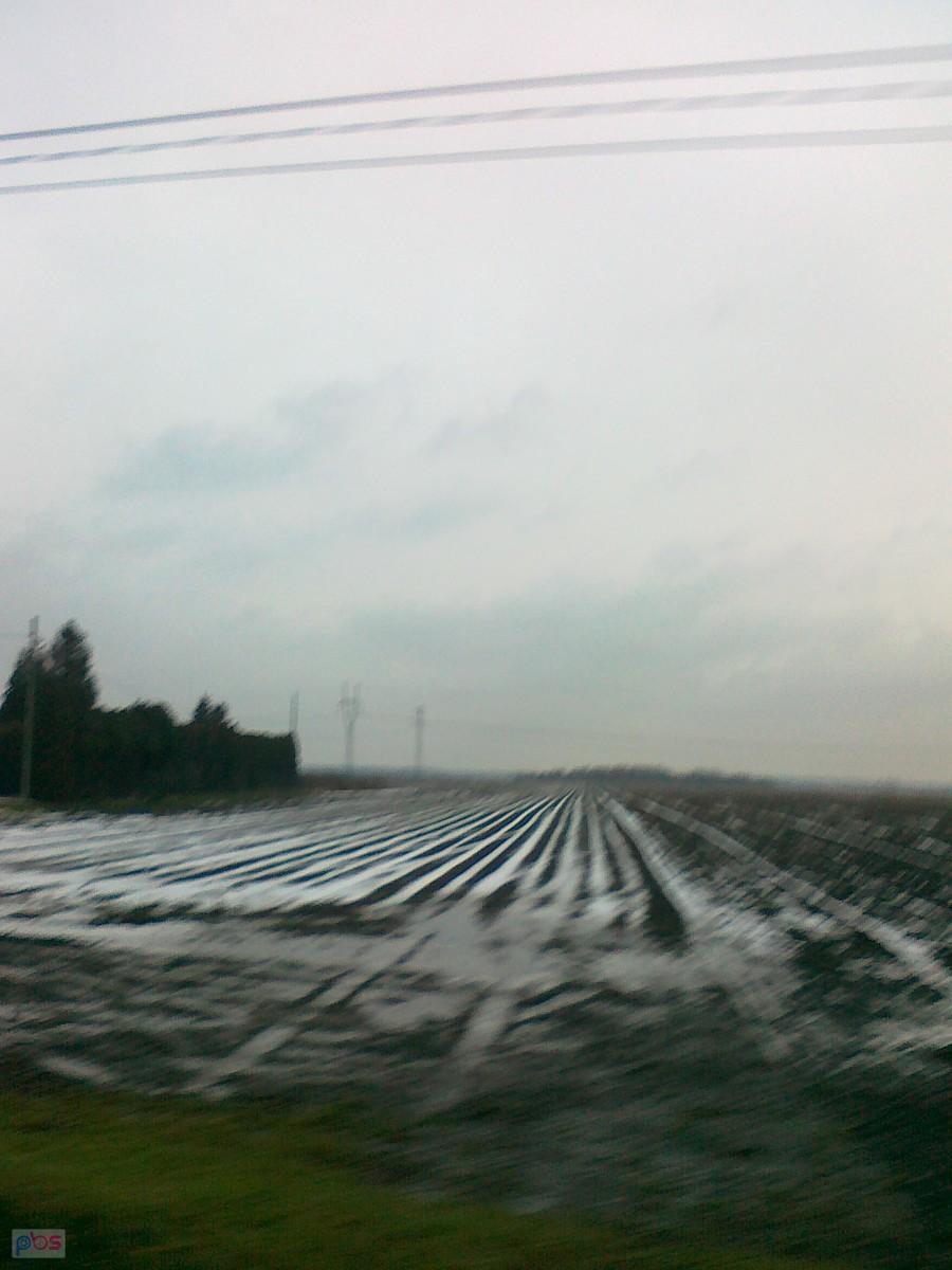 Resztki śniegu na polu