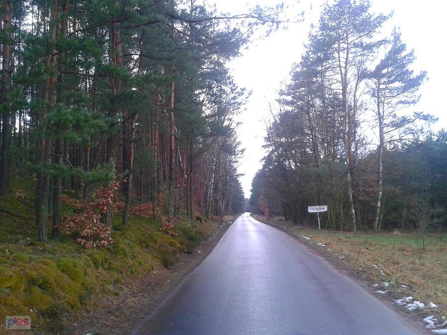 Kierunek - Chrapczew