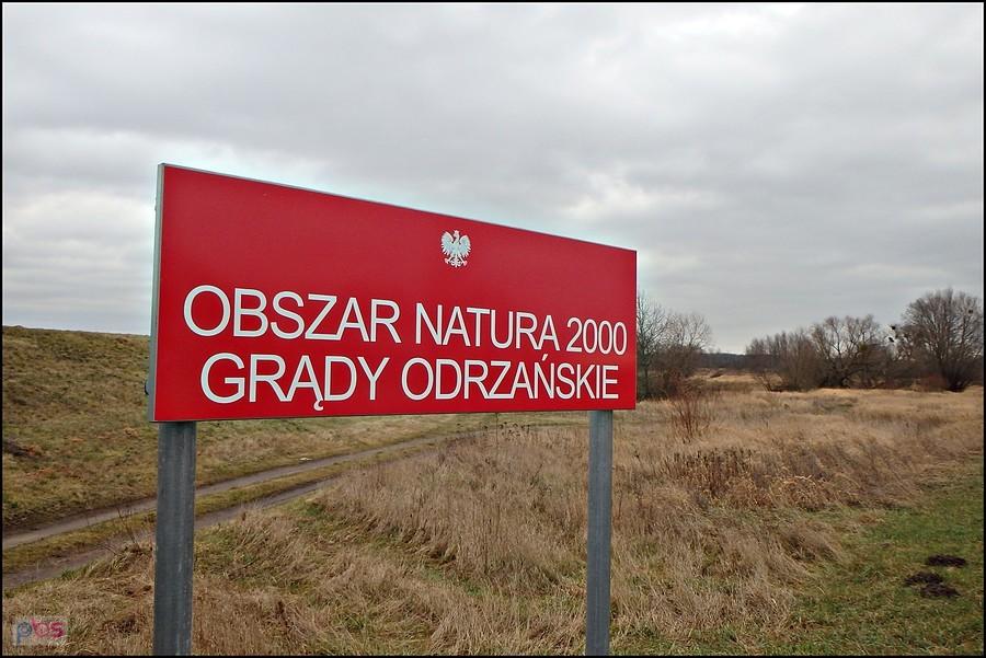 Obszar Natura 2000 Grądy Odrzańskie w okolicach Stobrawy