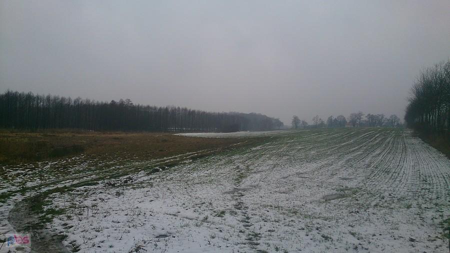 Łąki w okolicach Osmolic