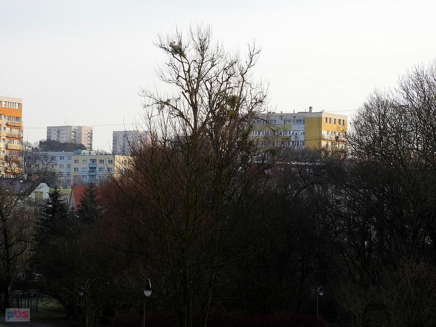 W oddali fragmenty Osiedla Arkońskiego.