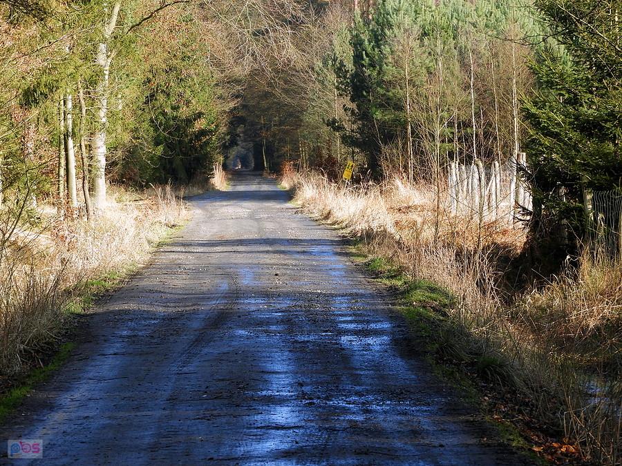 Leśna droga nr 27 - długość ca 6 km.