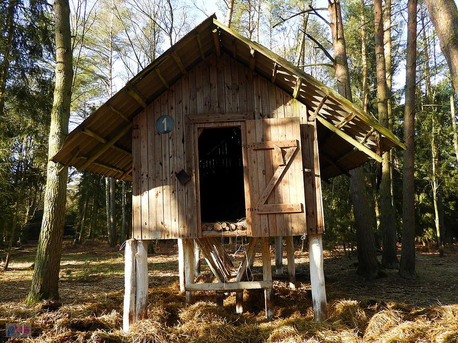 Paśnik w pobliżu leśnej drogi nr 27 w Puszczy Wkrzańskiej.