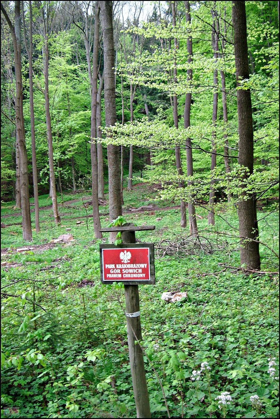 Kotlina Kłodzka 2012; Góry Sowie- ostatnie na trasie