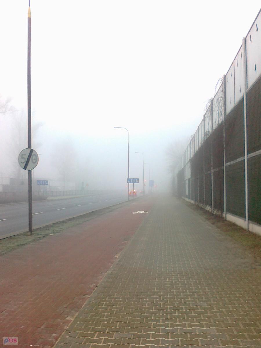 Mgła w mieście