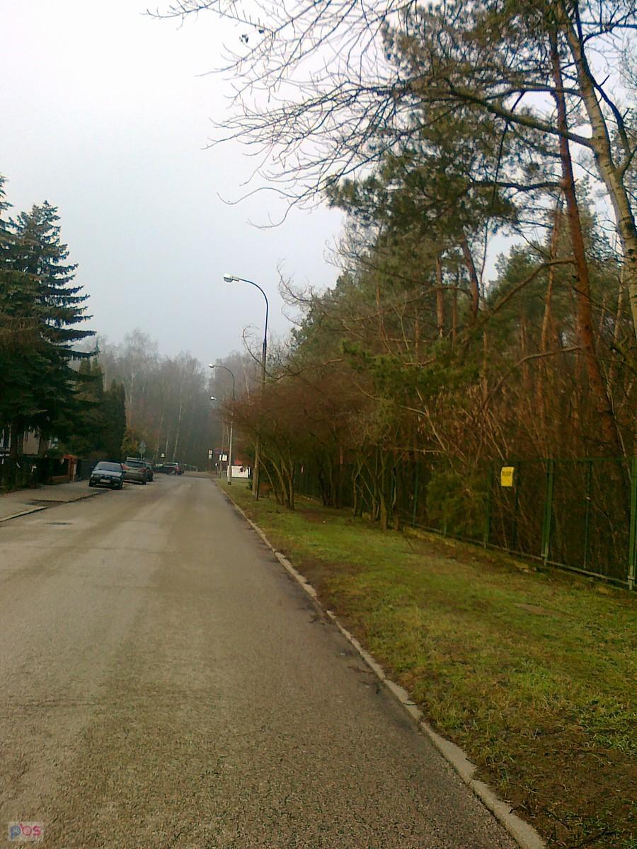 Nie ma już mgły, a nawet wyszło słońce
