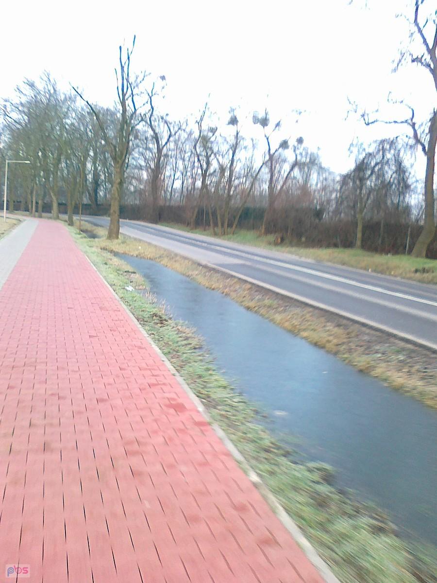 Zamarznięta woda w rowach przy drodze.