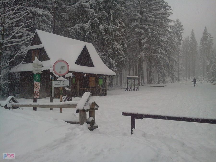 Brzeziny, ciągle padał śnieg