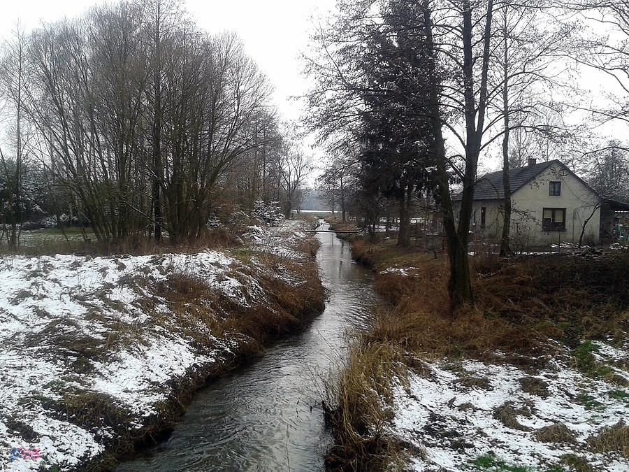 Rzeka Pichna