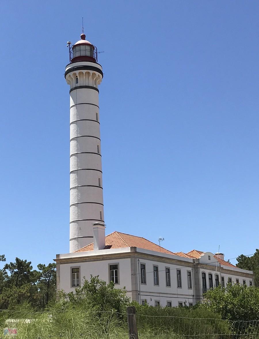 latarnia portugalska