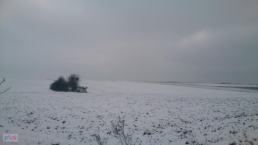 Biało na polach