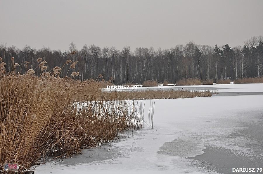 Sosnowiec - Balaton