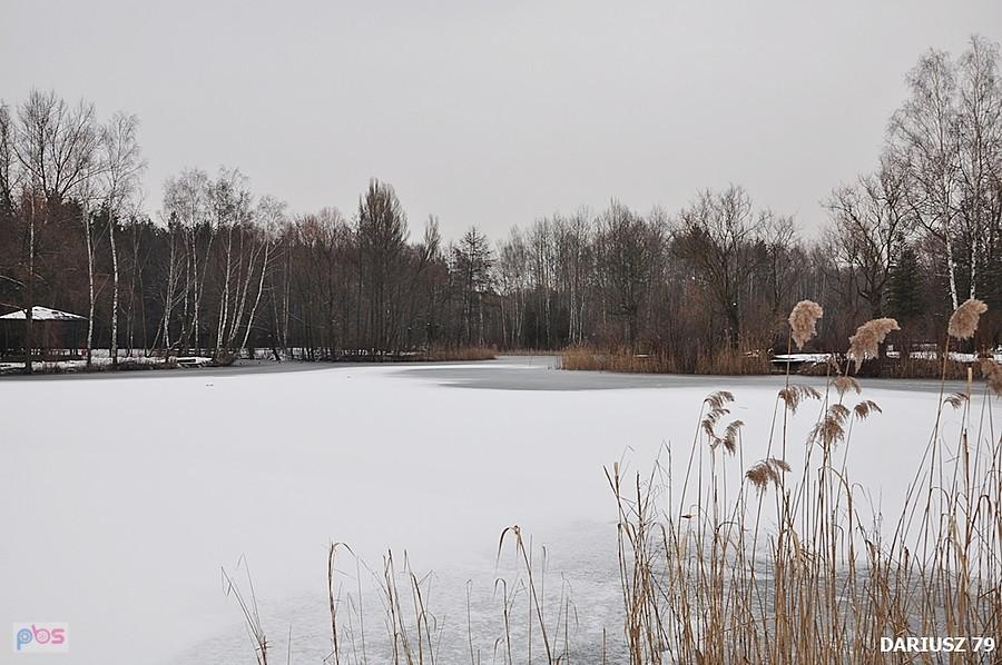 Park Miejski Imienia Jacka Kuronia - Sosnowiec Kazimierz - Staw Leśny