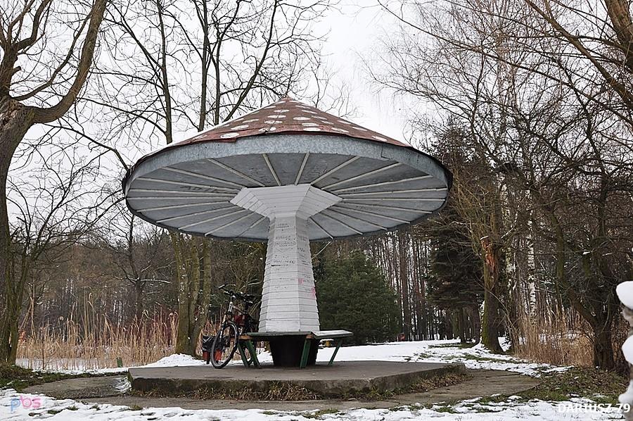 Park Miejski Imienia Jacka Kuronia - Sosnowiec Kazimierz