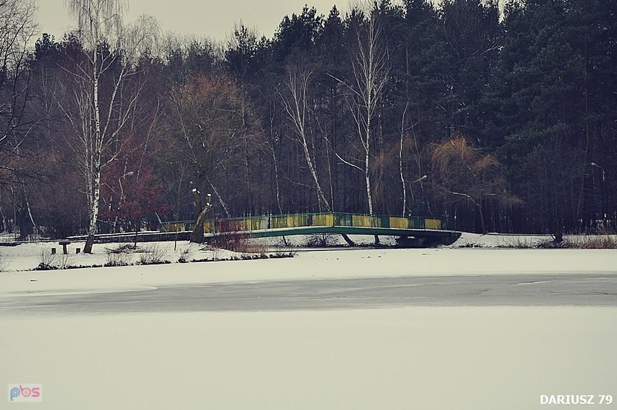 Park Miejski Imienia Jacka Kuronia - Sosnowiec Kazimierz - Staw Leśny