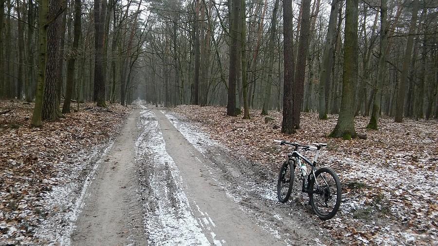 Dobre warunki do kręcenia w WPN, podłoże twarde i zmrożone