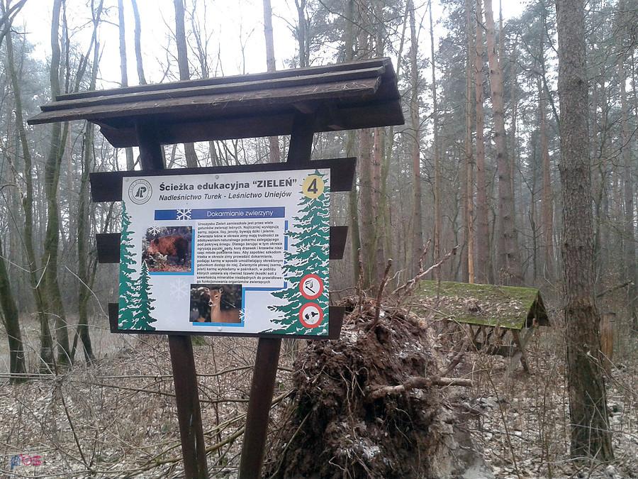 Ścieżka edukacyjna "Zieleń"
