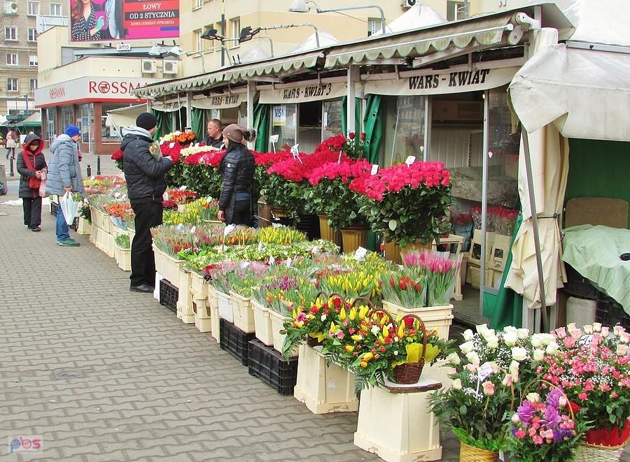 Najładniejsze kwiaty w Warszawie