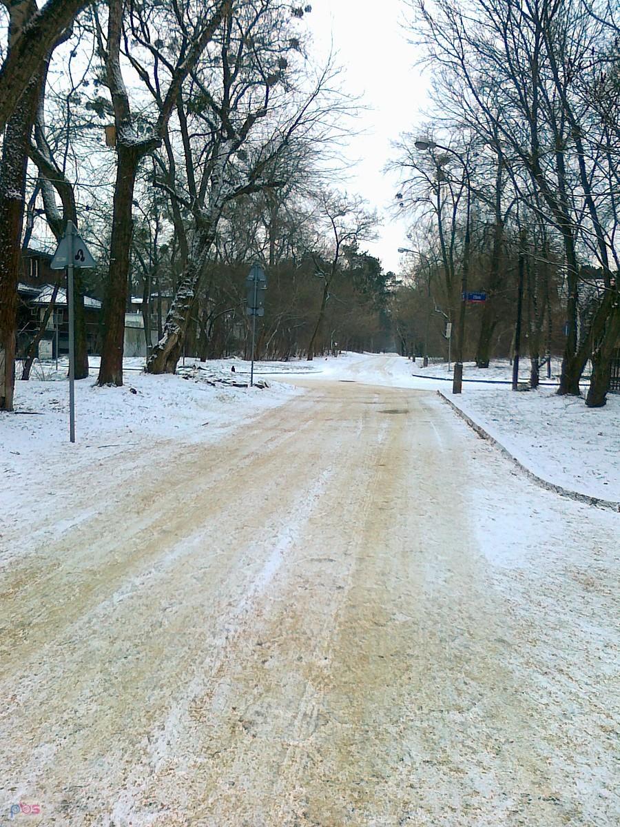 niektóre nawet tak