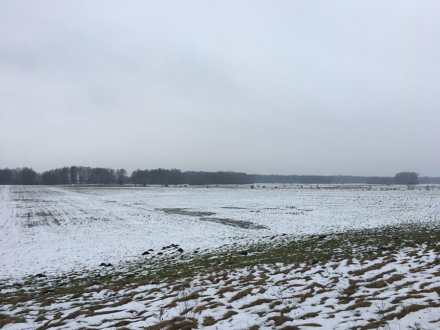 Zima na polach