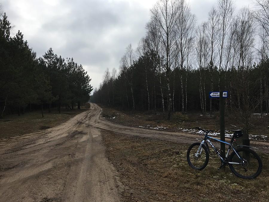 Droga przez puszczę do Mężyka