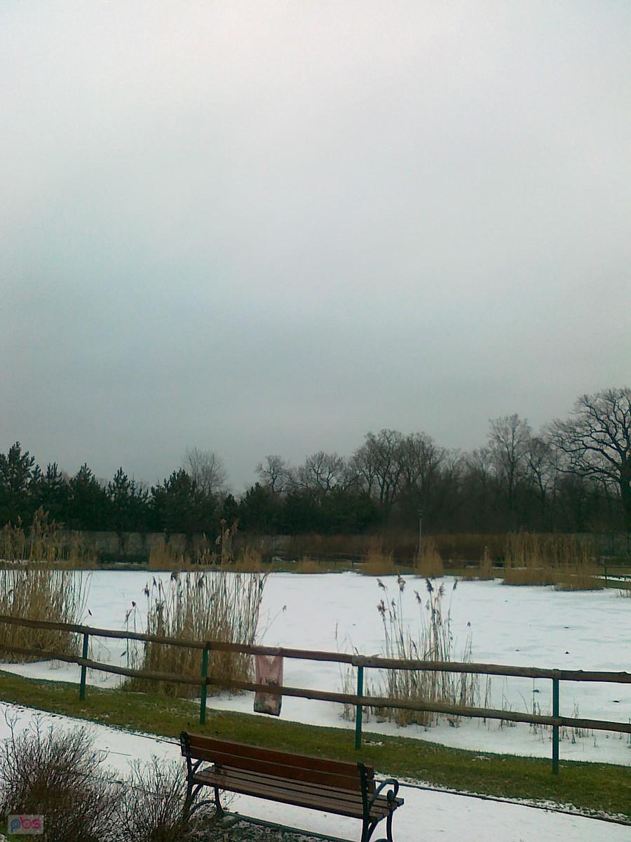 Staw zamarznięty