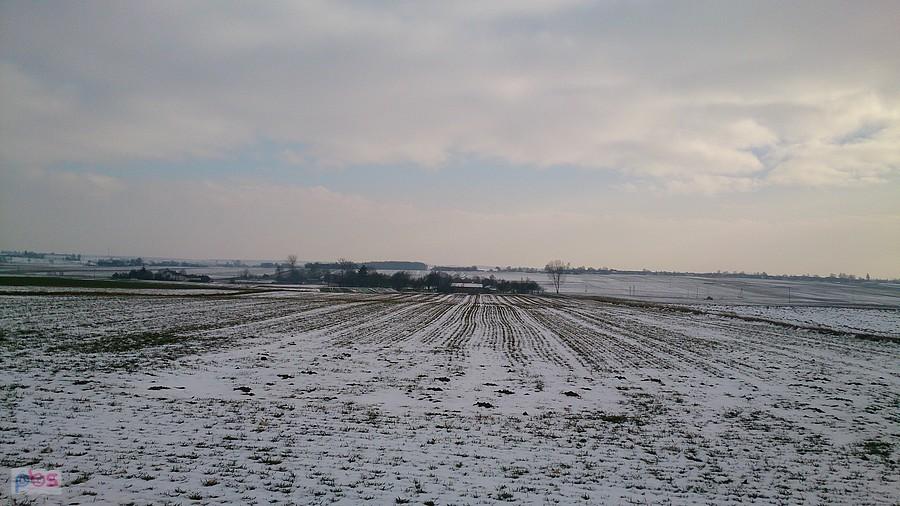 Śniegu coraz mniej