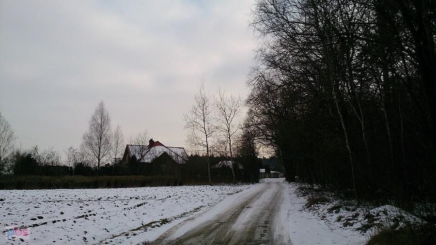 Leśne drogi jeszcze białe