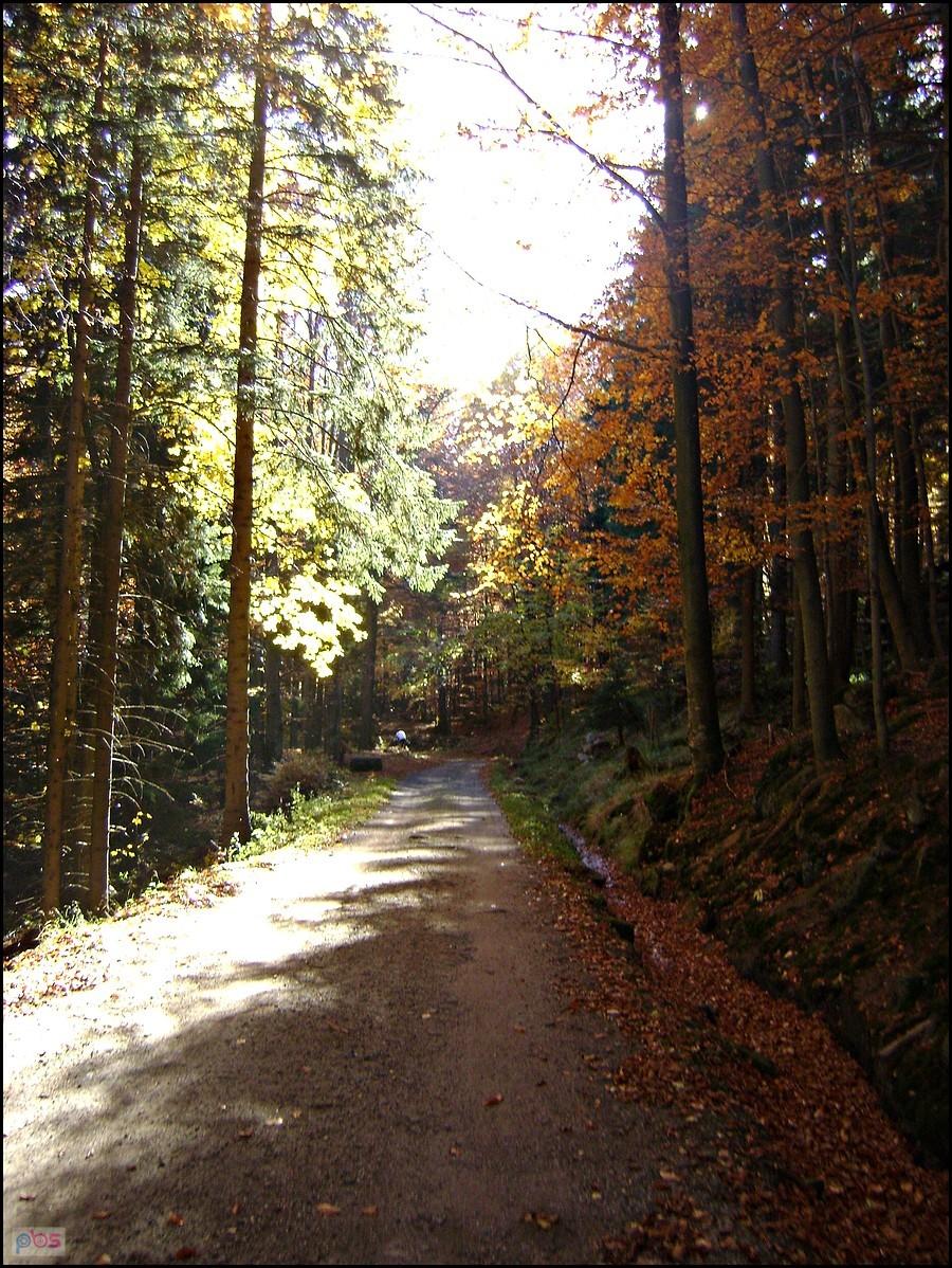 Przełęcz Okraj - Janowice Wielkie 21.10.2012