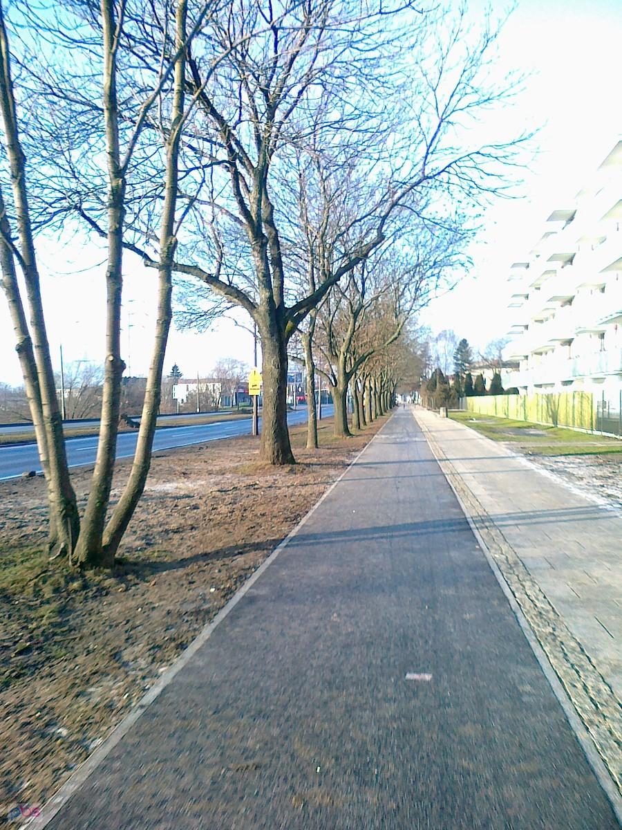 Słoneczny poranek