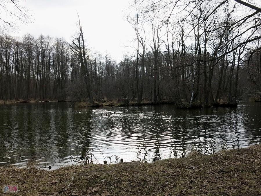 W Rezerwacie Niebieskie Źródła