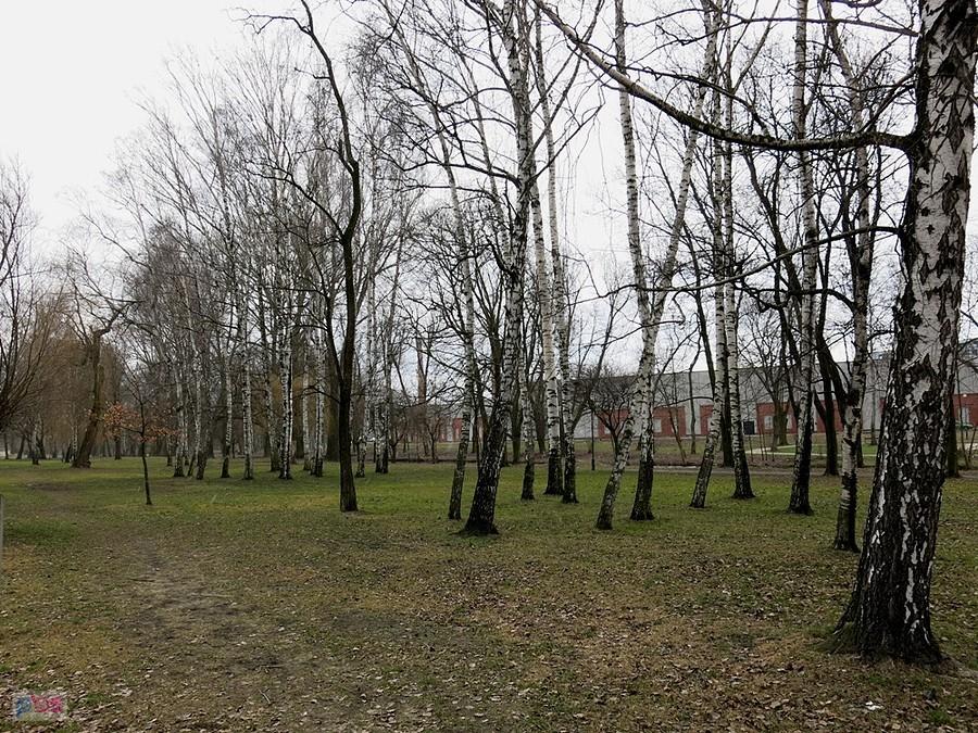 Park Bulwary dziś. On też przejdzie metamorfozę w tym roku.