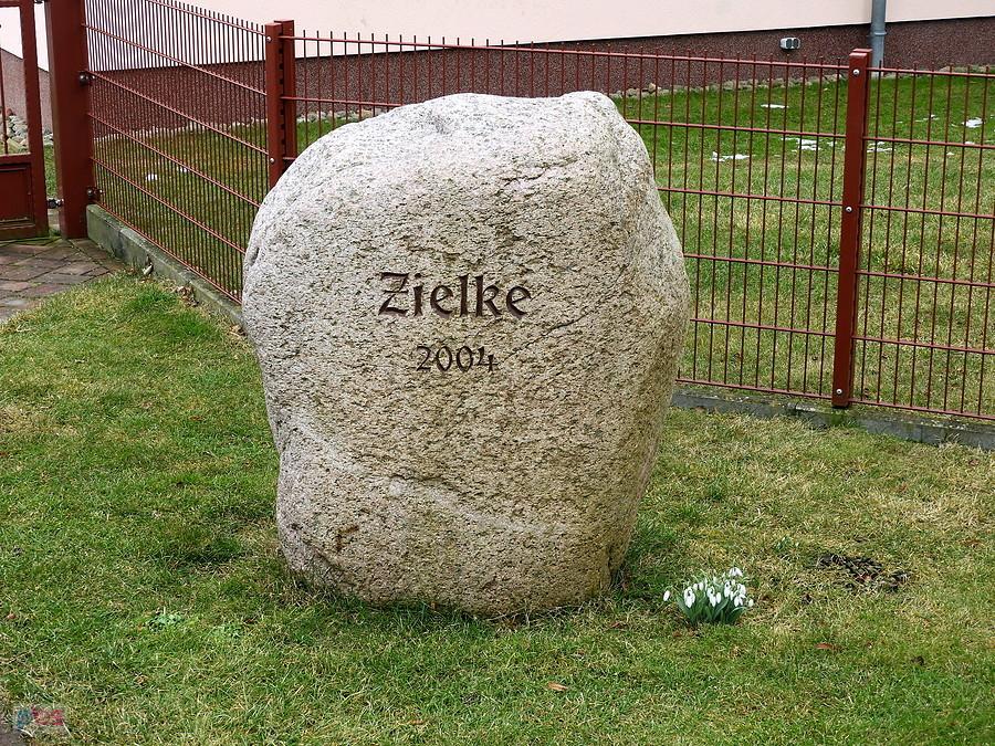 Przebiśniegi z Hohenholz.