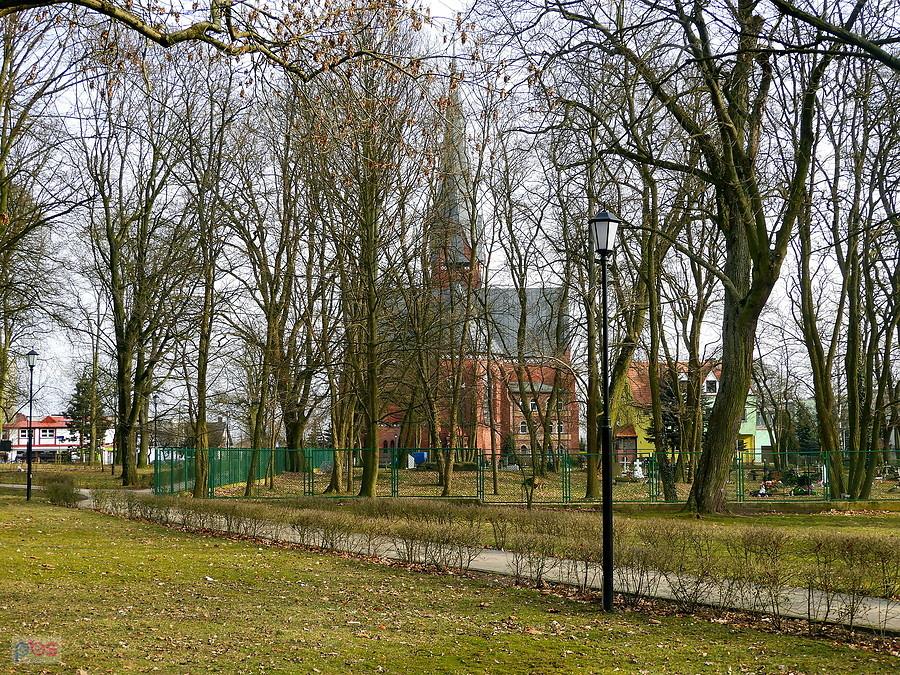 Park Staromiejski w Policach - w głębi kościół.