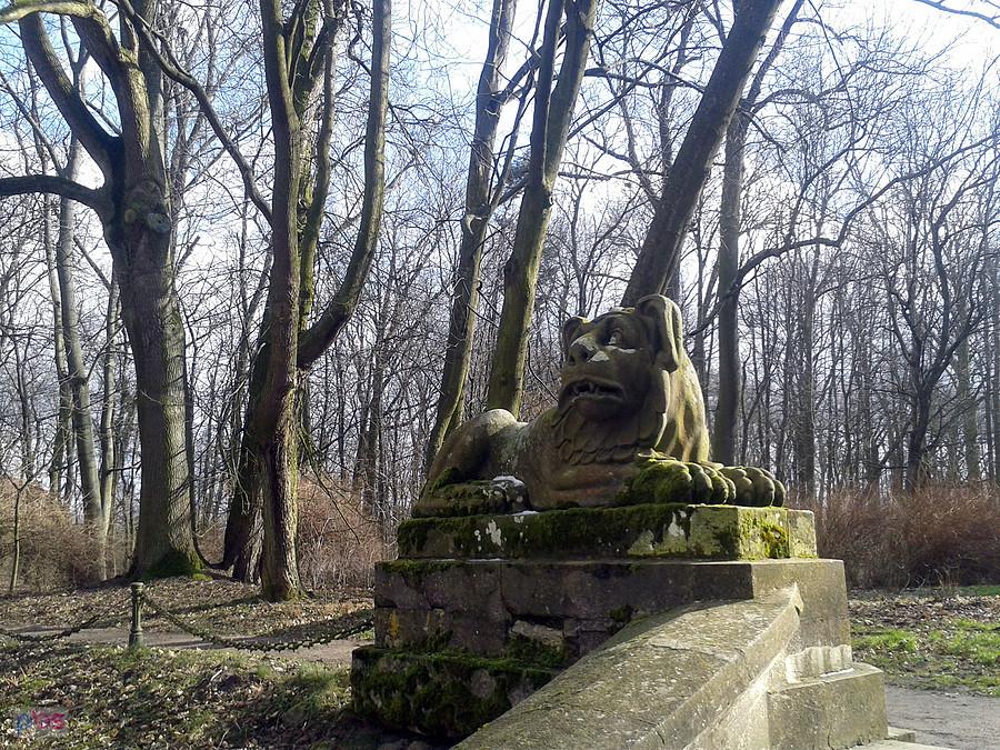 Park przy Muzeum w Oporowie