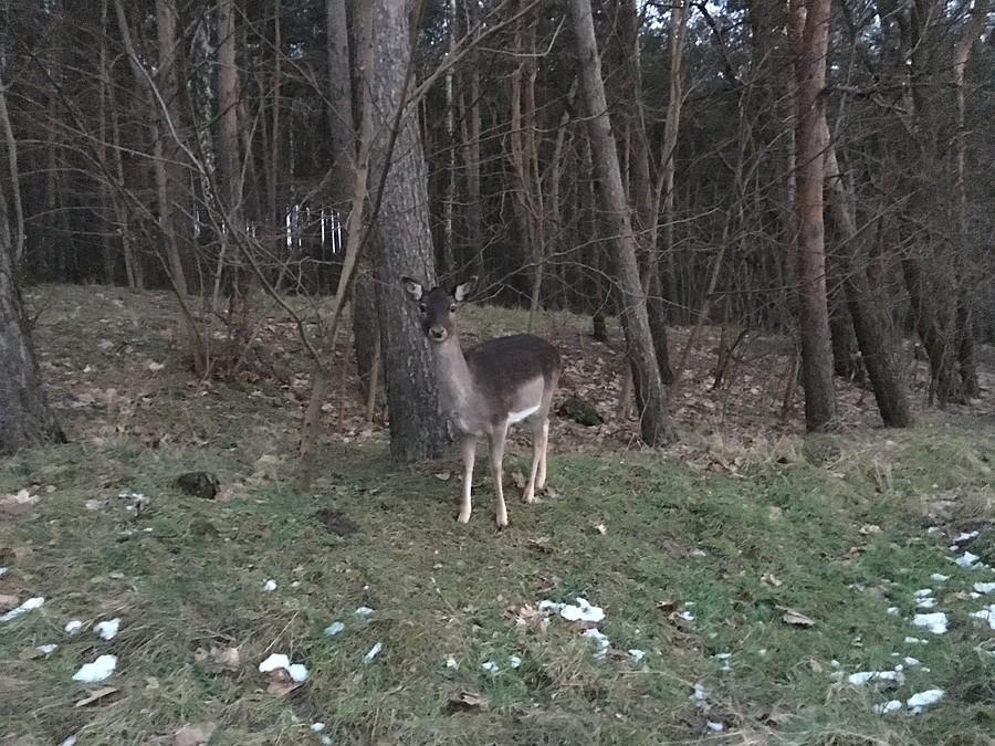 Spotkanie z Danielem