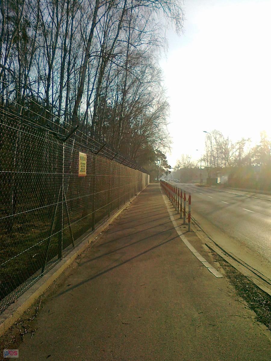 Aż chciałoby się napisać, że to wiosenny obrazek