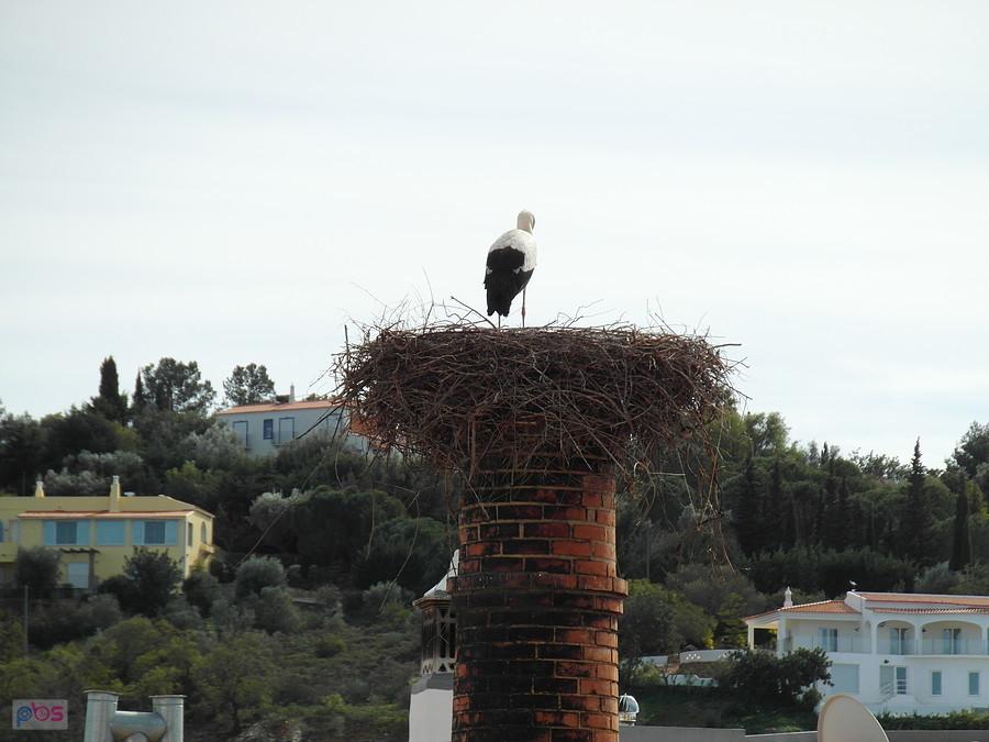 Silves - Portugalia