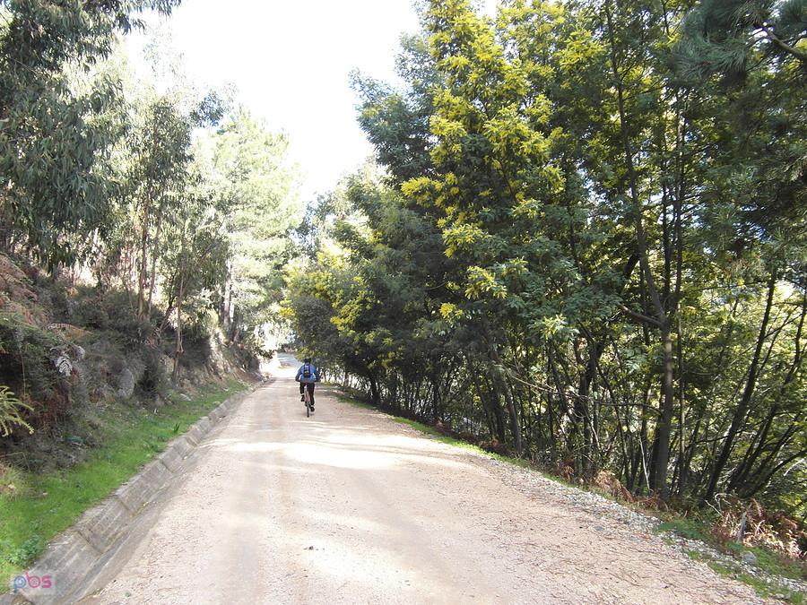 Zjazd -Algarve- Portugalia