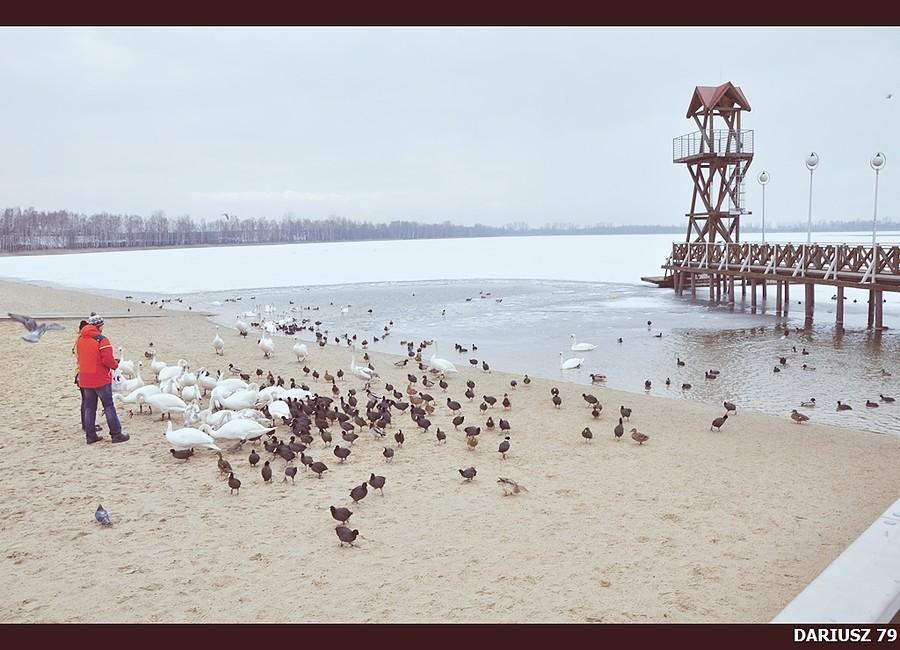 Dąbrowa Górnicza -Pogora 3 (Molo)