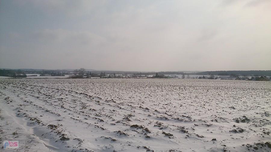 Białe pola w Osmolicach
