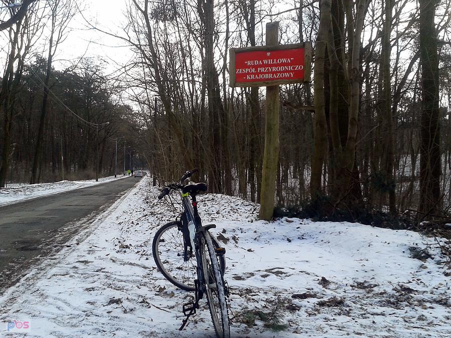 Zespół "Ruda Willowa"