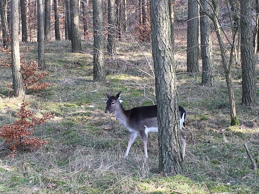 kolejne spotkanie z danielem
