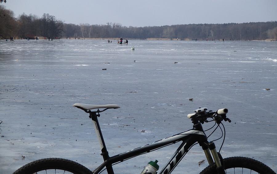Nad skutą lodem Rusałką spory ruch na tafli jeziora