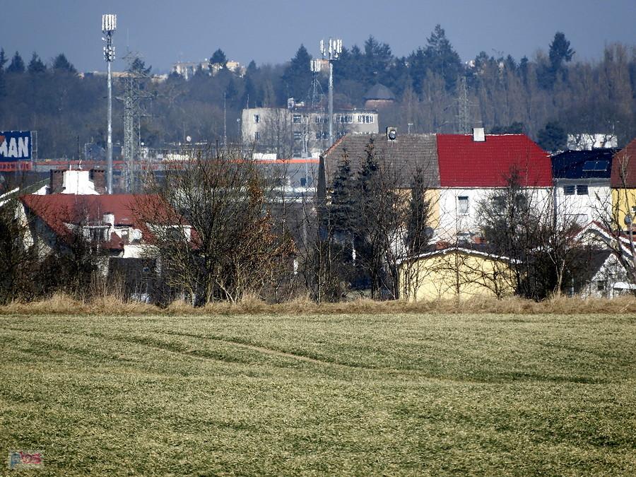 Widok z trasy wycieczki - odcinek Kurów - Przecław.