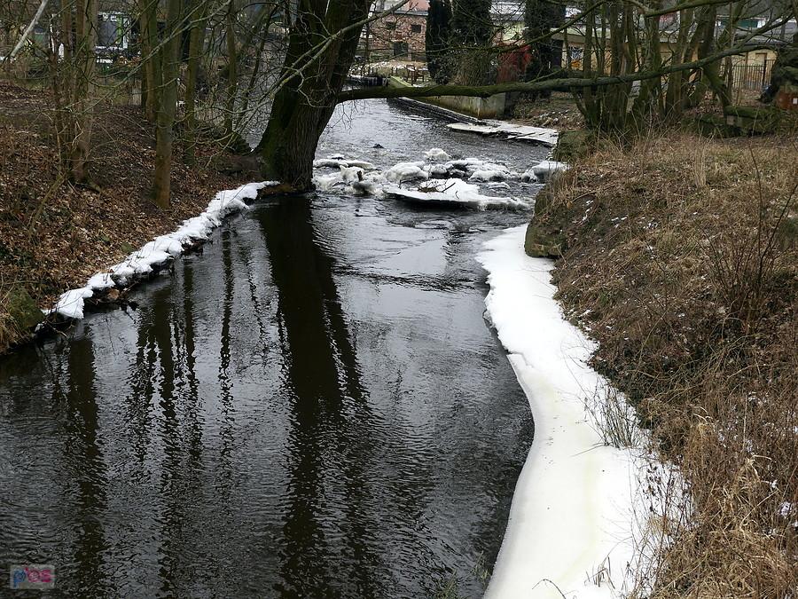 Końcowy fragment rzeki Gunicy - zdjęcie z Jasienicy.