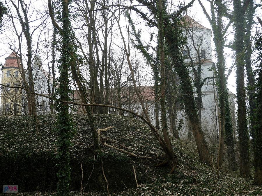 Penkun - zabytkowy obiekt przez gałęzie drzew.