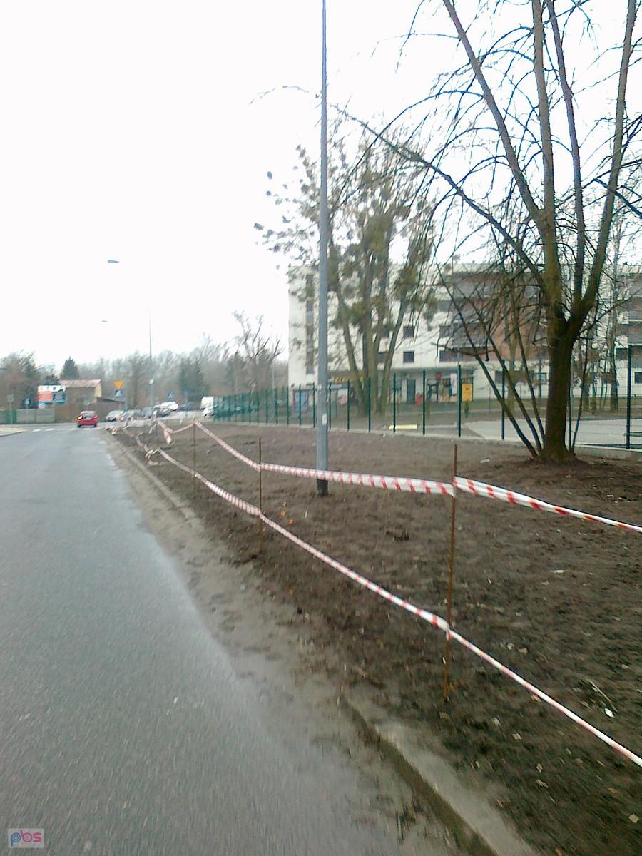 Samochodowy "pomnik przyrody" odjechał z trawnika, albo go odholowali