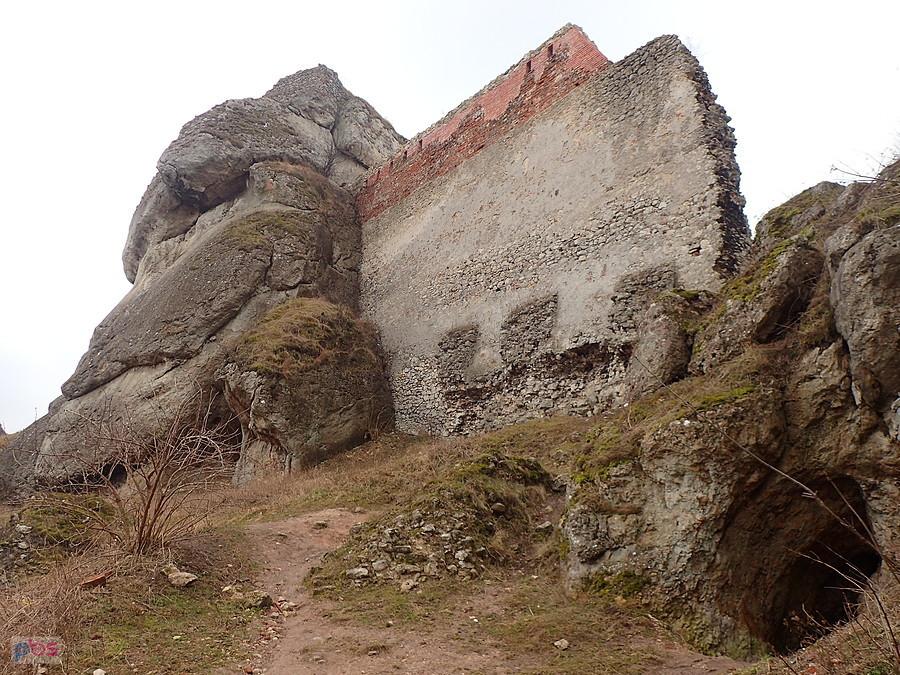 Schronisko przy Zamku - Olsztyn